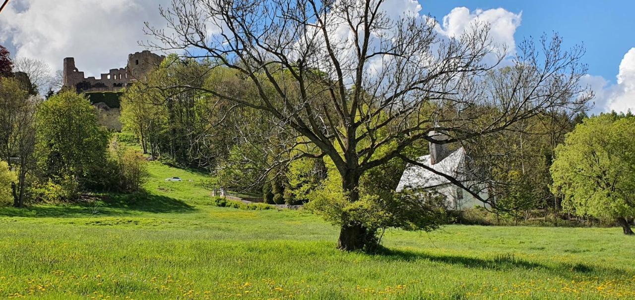 Zum Elleblick Apartment Frauenstein  Exterior foto
